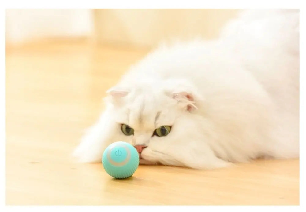 Interactive Magic Ball For Cats - Addy Mart