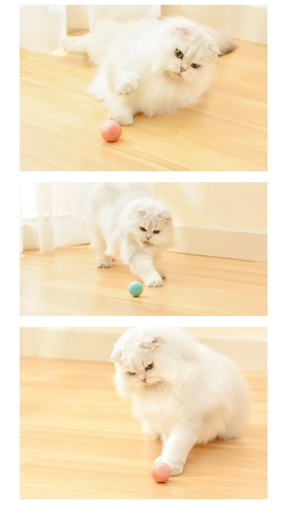 Interactive Magic Ball For Cats - Addy Mart